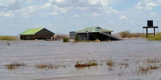 KUGIS_Club's tweet photo. Did you know that Lake Turkana water levels have been rising? Did you know that about 80% of Lake Turkana is in Marsabit County? Did you know that 90% of the water that drains to Lake Turkana comes from Omo river, which is in Ethiopia? https://t.co/Xz6li2TLMj