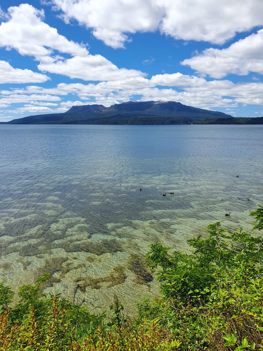 CockerKate's tweet image. Mount Tarawera in all of its glory 🙌