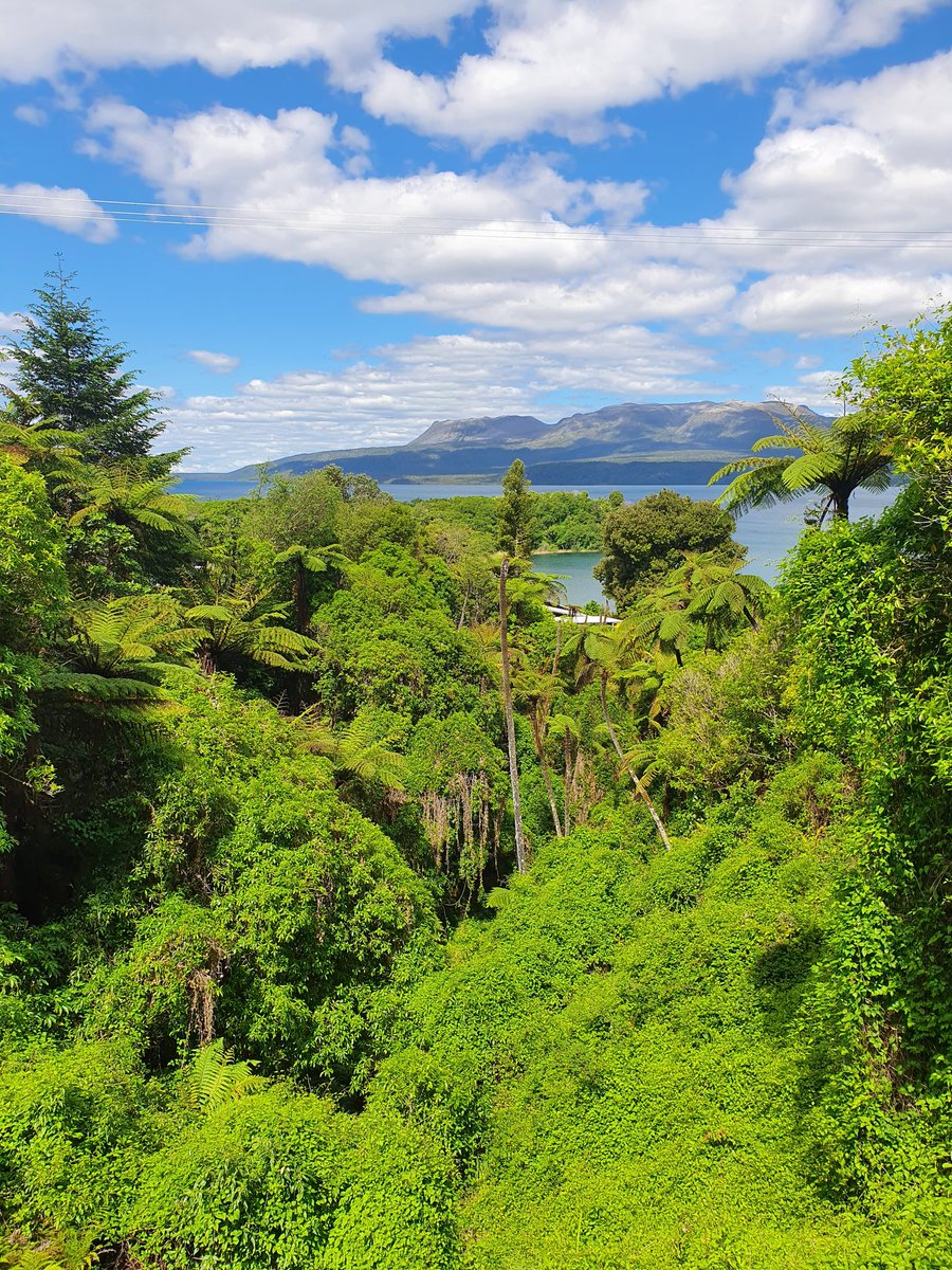 CockerKate's tweet image. Mount Tarawera in all of its glory 🙌