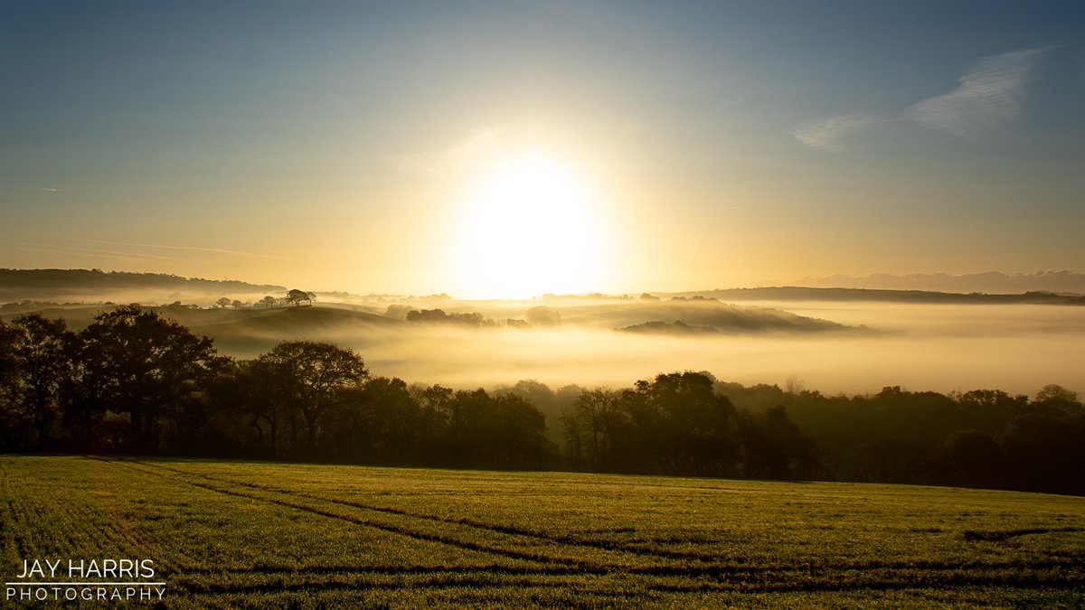 JayHarrisPhoto1's tweet photo. There's something about November mornings π
https://t.co/VxmVOU3gtm
#sunrise #mist #mistymorning #photography #landscapephotography #devonmornings https://t.co/YrVUVBxBOE