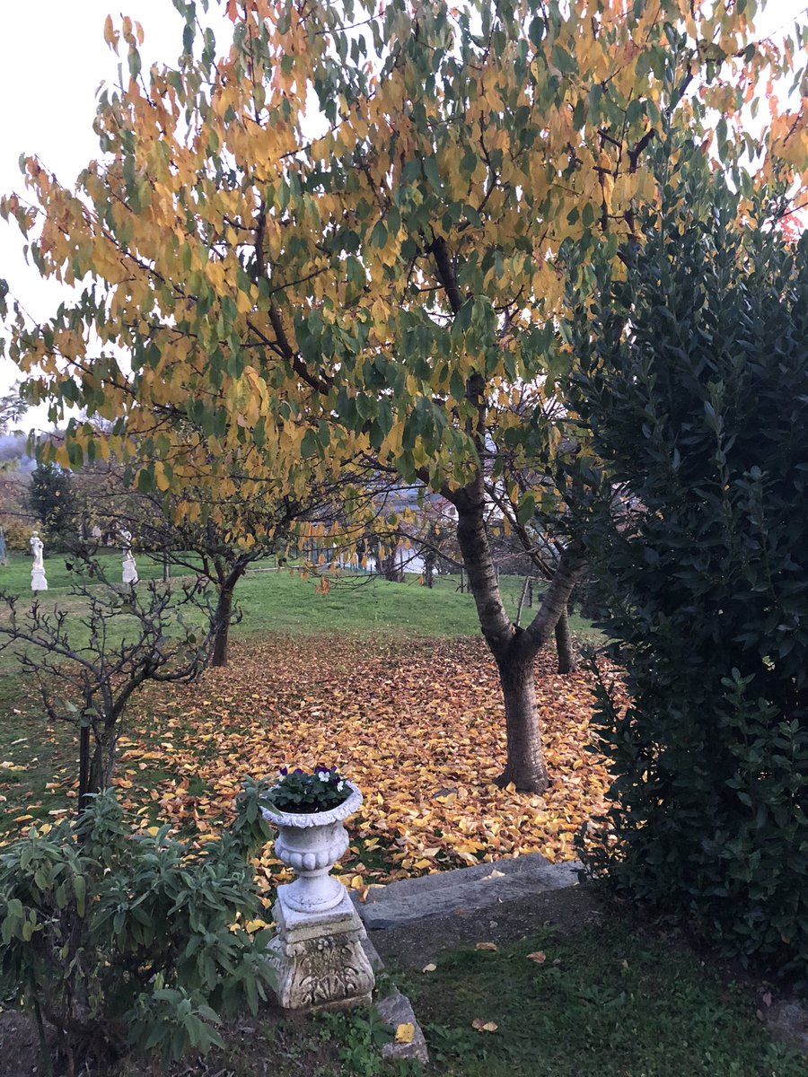 naides214 (@naides214) on Twitter photo 