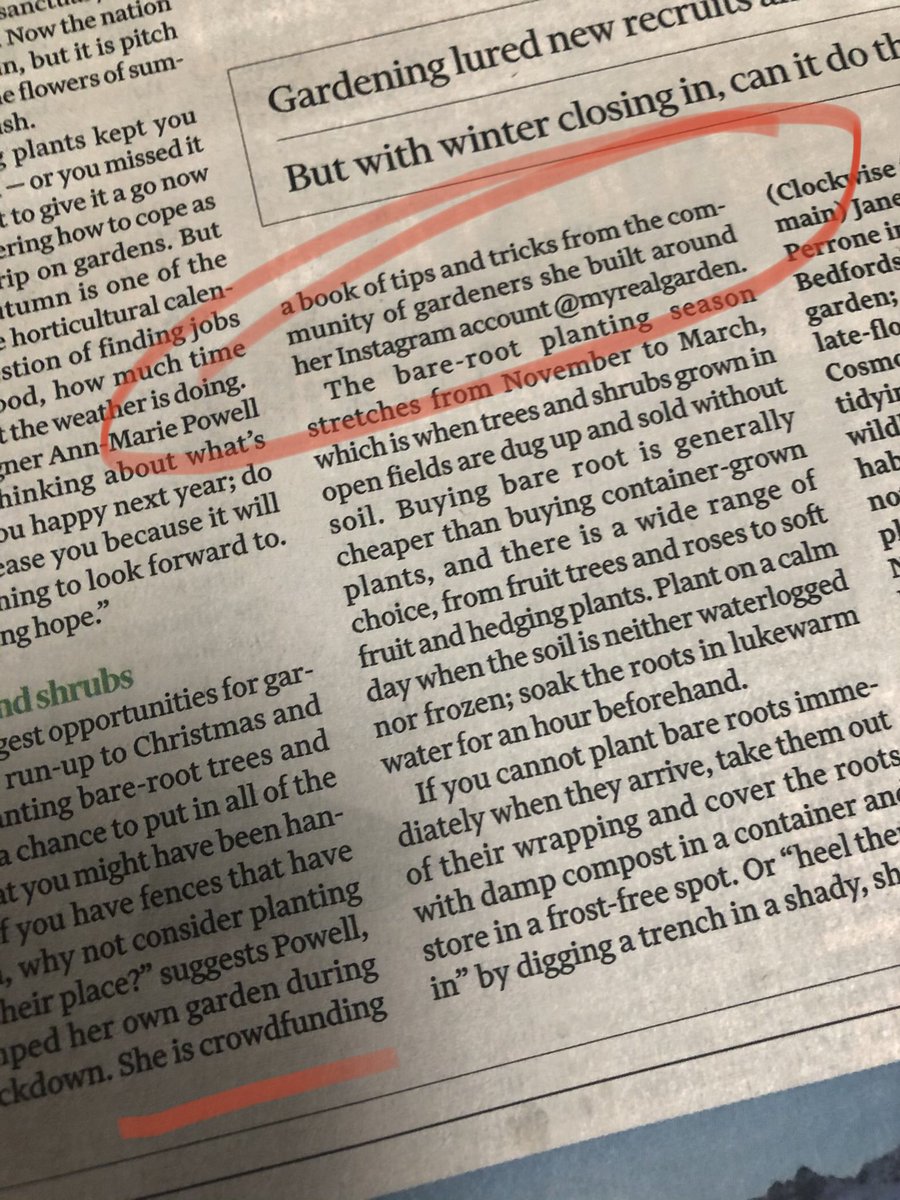 myrealgarden's tweet photo. Did anyone see our @myrealgarden book mentioned In yesterday”s @ft ? 
Absolutely over the moon. So many thank yous @ftproperty &amp; @janeperrone
Still crowdfunding for @Greenfingerscha - link below.

https://t.co/tTf3mnXd1A https://t.co/CfkSncLzed