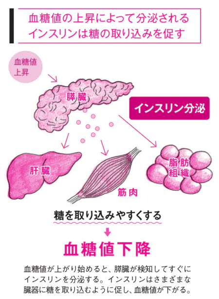 血糖値スパイクのtwitterイラスト検索結果 血糖値スパイクのtwitterイラスト検索結果