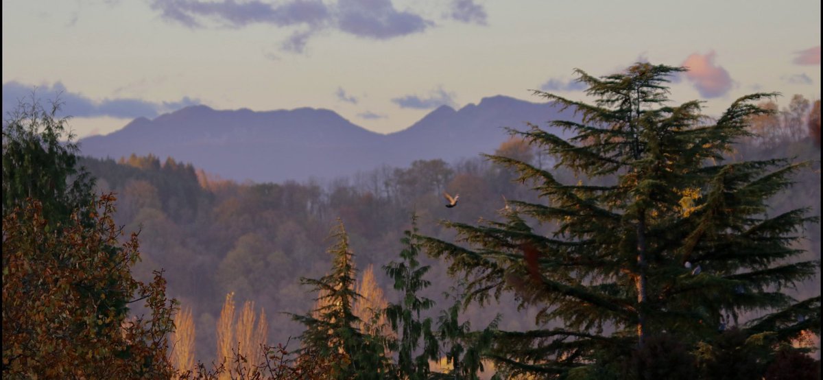 marulier's tweet photo. Ce matin avec une heure pour prendre des photos ,j’ai bien sûr choisi le lever de soleil.. #FenêtreSurLeBéarn 
#confinementSaison2 https://t.co/Jfsx4pyaMb