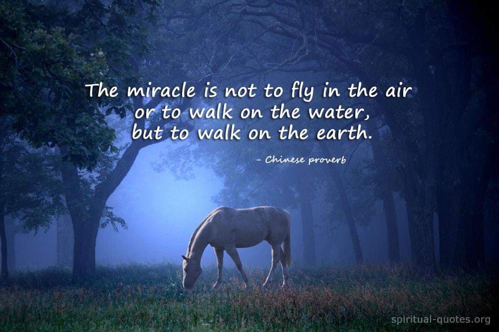 HtoEHealing's tweet photo. Sunday thoughts and blessings right there #miracle #sundayvibes #AccessConsciousness #Bars #IAM #HaveAGreatDay #Truth #BeGoodToYourself #November #bekindtoeachother #blessed #gratitude #LightWorkersUnite #LightWorkersOfTheWorld #Rise #nofear #RisingWithIntegrity 🌟🌟🌟 https://t.co/ltDPdp4g9W