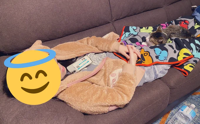 急上昇載ったよ!!!
って知らせようと思ったけど、ぼく以外この家全員、今寝てる… 