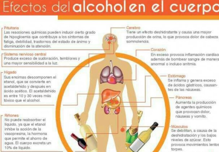 Dejar el alcohol adelgaza