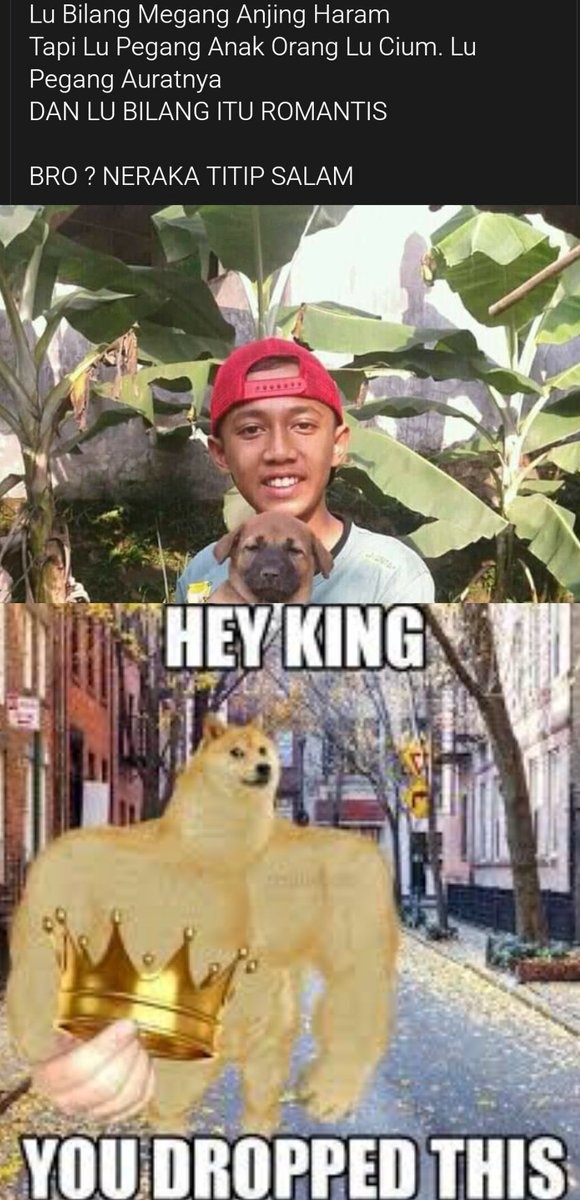 memefess tweet picture