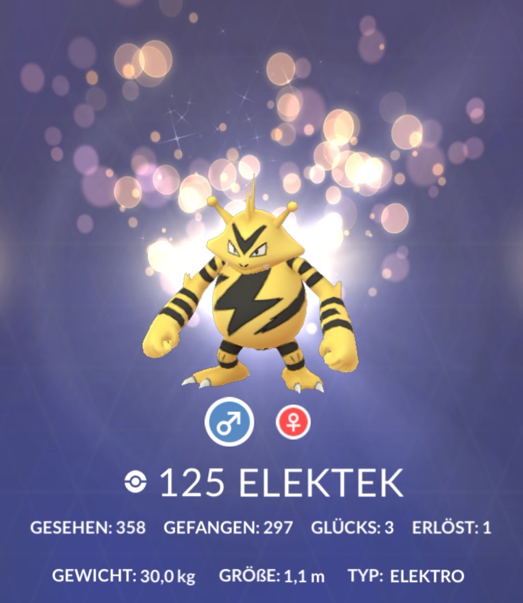 AlfredFimm's tweet photo. Der Community-Day ist die beste Gelegenheit zum Level-up! Heute kurz nach 11 CET bitte die Geschenke öffnen. Ich drücke euch die Daumen für ganz viele Shinies!
#PokemonGO #PokemonGOCommunityDay #Elektek https://t.co/XOtytzXbIi