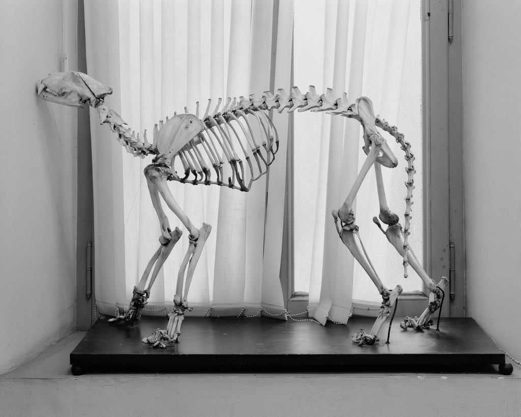 Foam Magazine tweet media