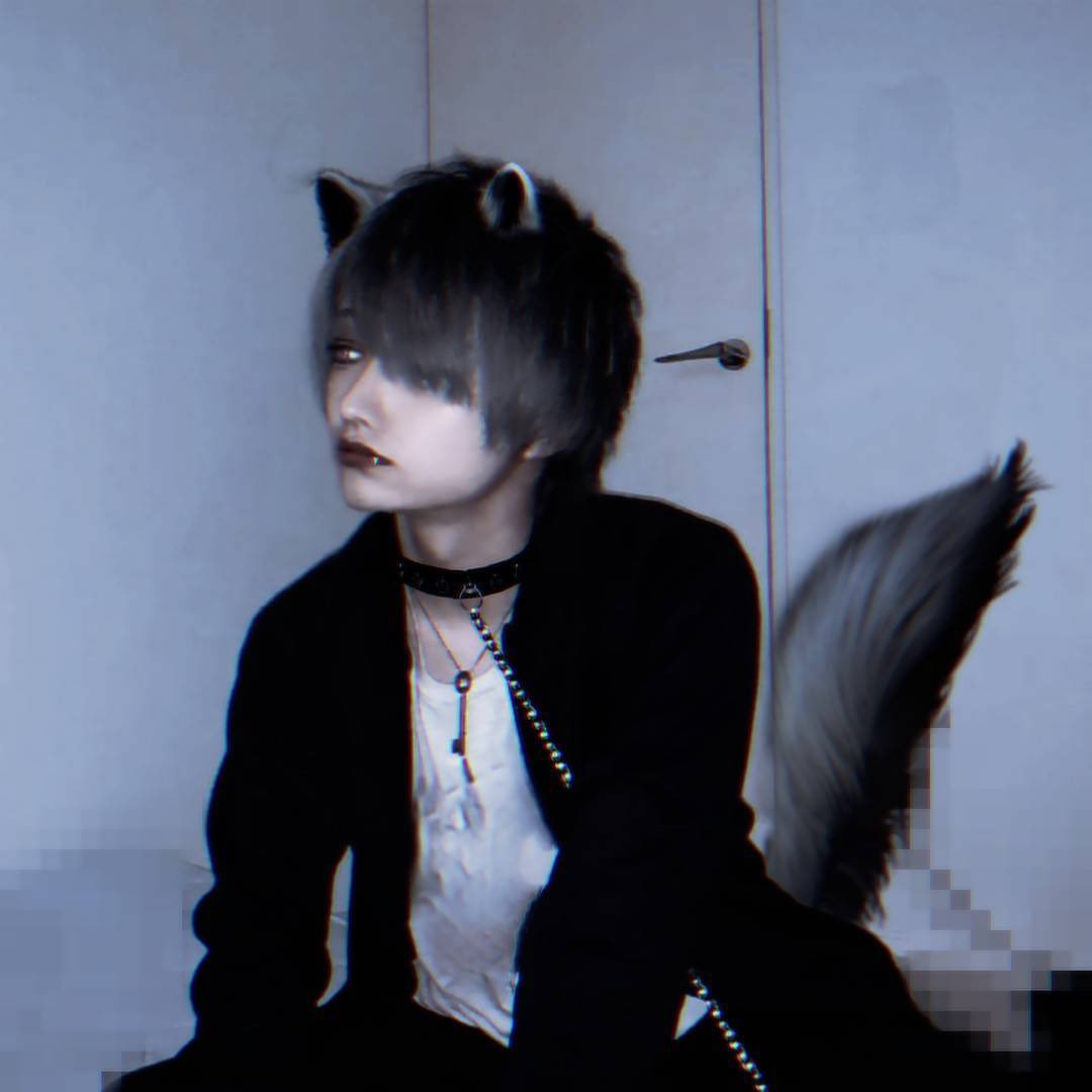 OKAMIMAKUN's tweet photo. 🐺 https://t.co/A8sFypY8tt