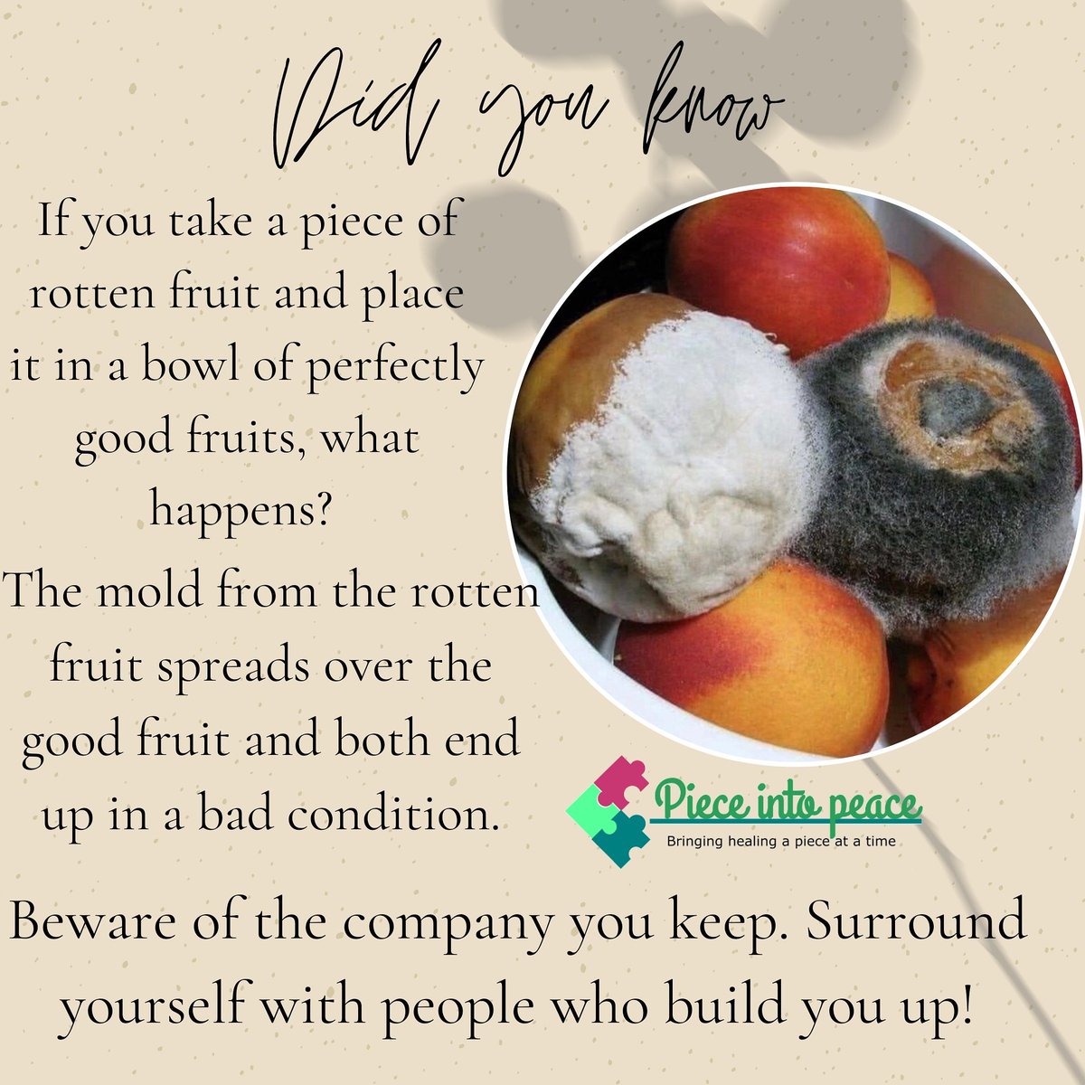 Pieceintopeace's tweet photo. Beware of the company you keep. Surround yourself with people who build you up!

#typeoffriendsmatter #FriendshipGoals #bewareoffakefriends https://t.co/IWBDh9ijvc