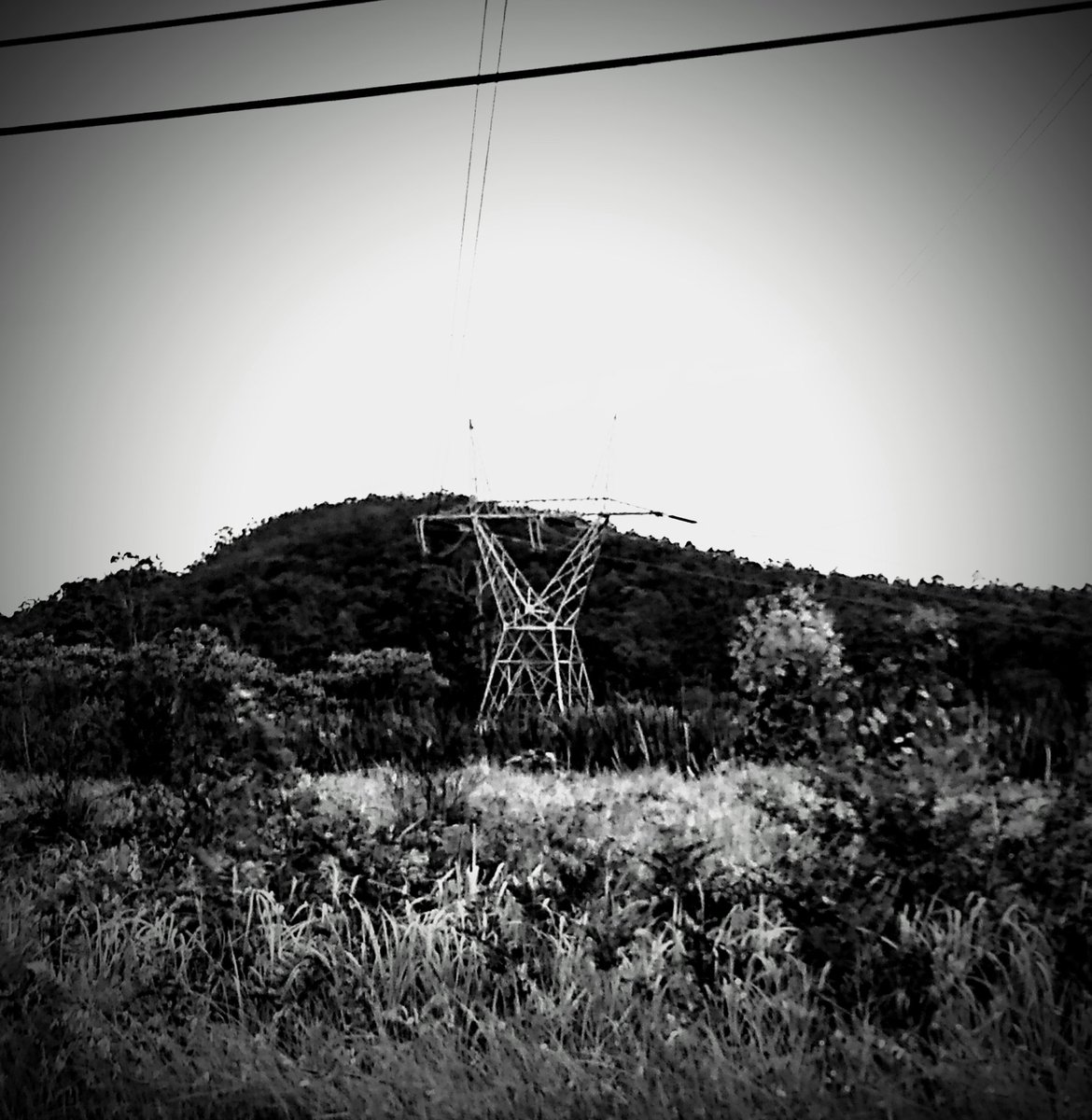 Mary_Shelley's tweet photo. The edge field, two acre. Grew bones and stones. Every beast, it sickened. Crops died. County asked to put on a pylon and grass grew. We know a ground will always want what it wants. But that? Odd, aye. 

- Alf Dunnock, #Hookland Rural History Project, 1978

#HRHP @HooklandGuide https://t.co/CvSf1hI5h6