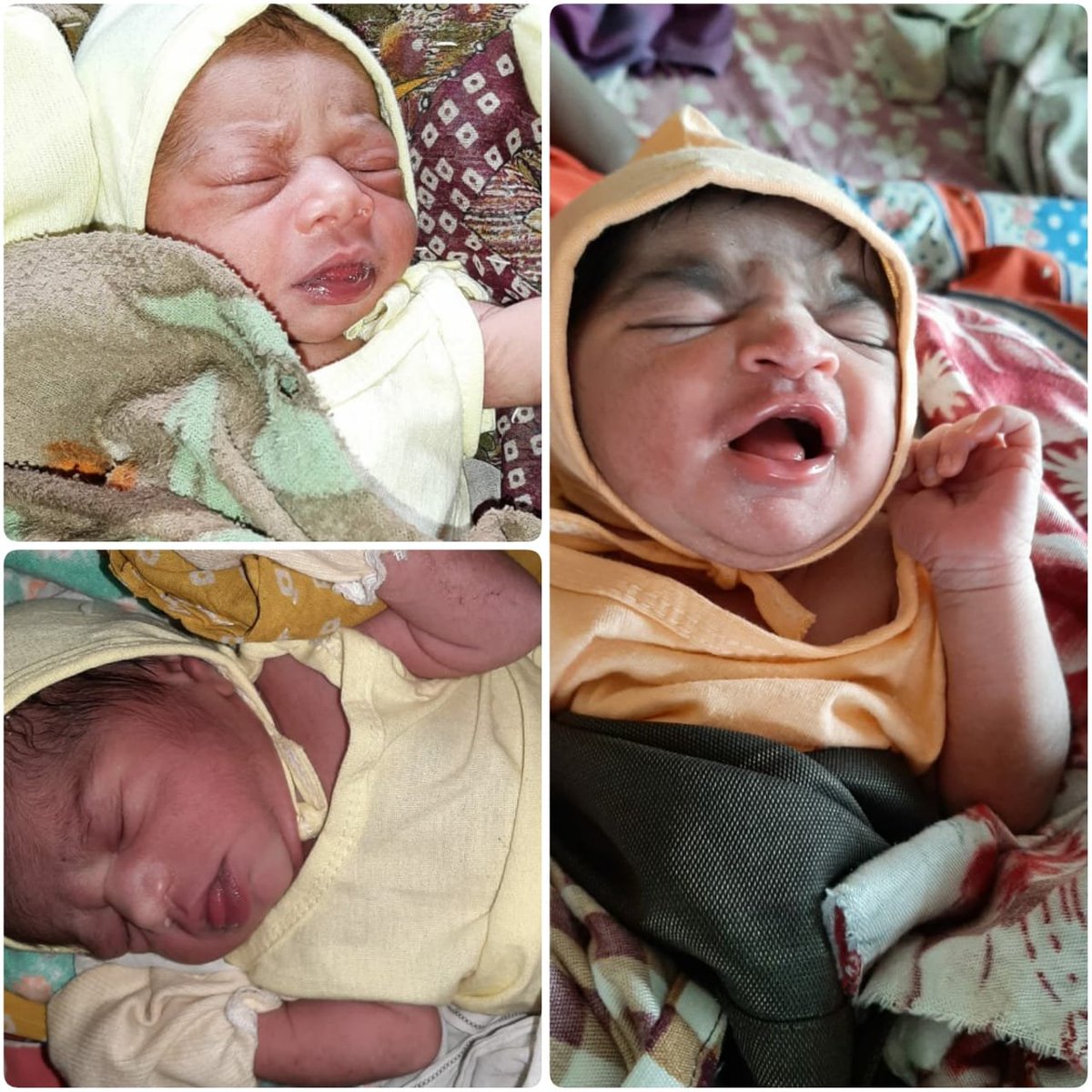 CdhoSabarkantha's tweet photo. Today 3 full term normal delivery in #PHC Navarevas. @idar block. All #jssk benifits and #vaccine given.
#SanItarypad given. #Ibnc done. #Latching explain by SN. Out of them 2 #Ppiucd inserted. #goodwork team revas phc. #HappyDeepavali @JayantiRavi @JpShivahare @CollectorSK https://t.co/MvaUBpOvlS