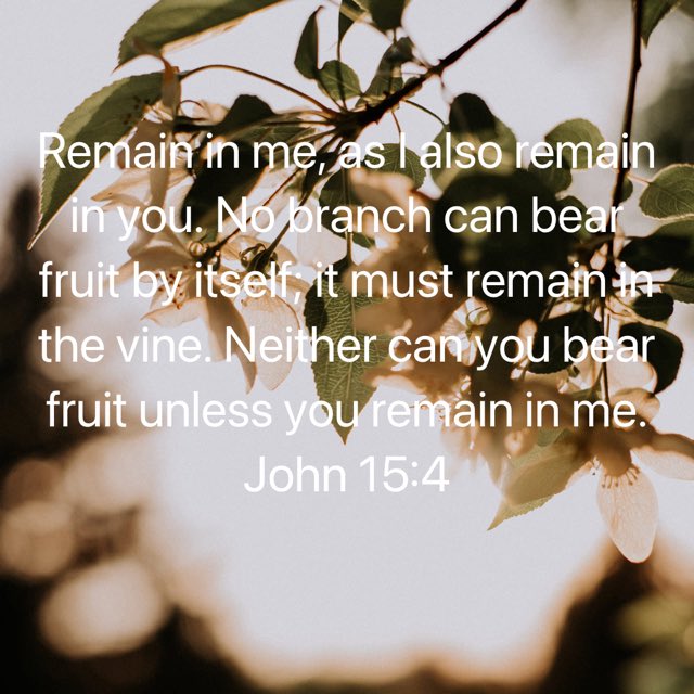 demples50's tweet photo. #HappySunday #WordOfTheDay #wordofGod https://t.co/Wmc0xNj5Rf https://t.co/waSWey8y8T