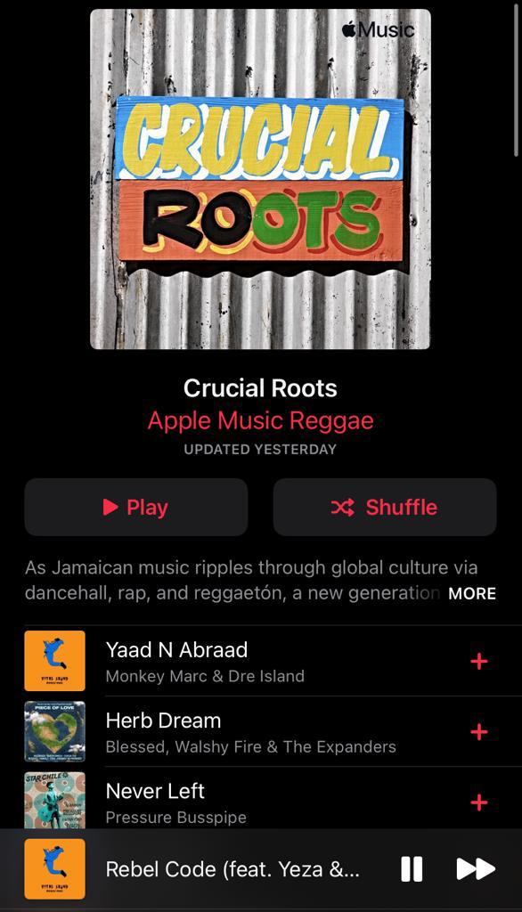 Monkey Marc tweet media