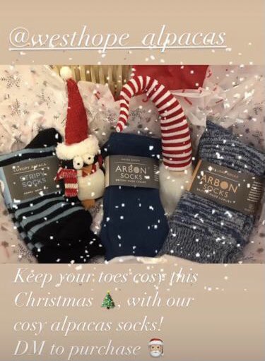 WAlpacas's tweet photo. Who doesn’t love socks at Christmas? We have a great range of alpaca fleece socks and other products available. Contact us if you would like more details. #Christmas #socks #alpaca https://t.co/Q9FCZbnG40