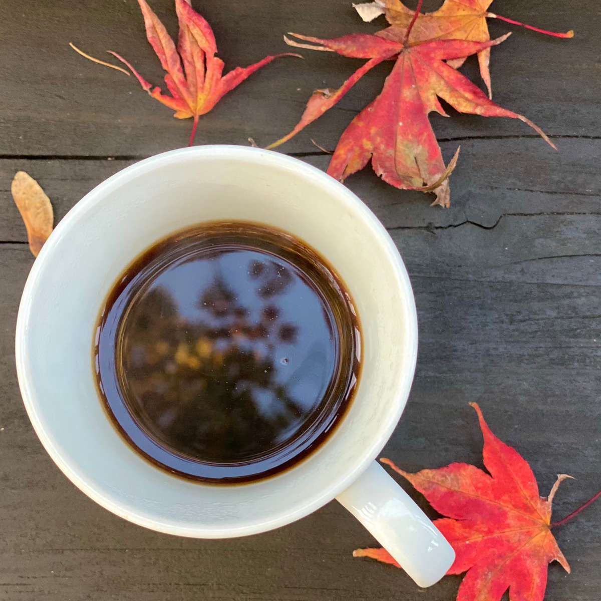 splendid4168's tweet photo. 紅葉🍁エッセンス入りコーヒー☕️
もう少しで冬が来る〜

#photography #photo #キリトリセカイ #写真好きな人と繋がりたい #写真で伝えたい私の世界  #仙台 #スマホ写真 #写真撮影募集中 #写真上手くなりたい #紅葉 https://t.co/KdvrNuvKLt