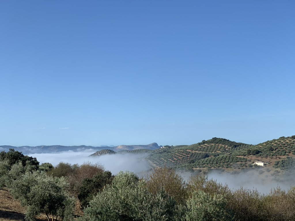 nickygen's tweet photo. Beautiful morning mists sweeping through #Andalucia #lockdownspain https://t.co/rXdz3vt1lc