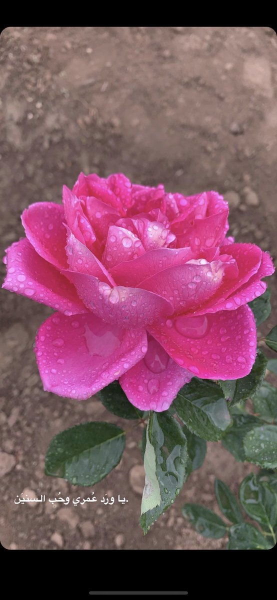 k_sa_90's tweet photo. الصاحب اللي ينصحك لا تمله
هو راس مالك فـ الليال المعاسير

واللي يخاف العيب ويراقب الله 
احرص على خوته كانك تبي الخير https://t.co/7P5JIRmZTb