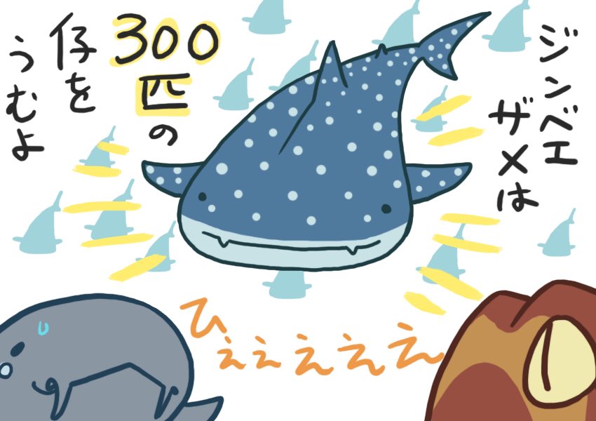 イヌザメさんとネコザメさん #サメ #shark 420 魚類の中ではサメは少なめ