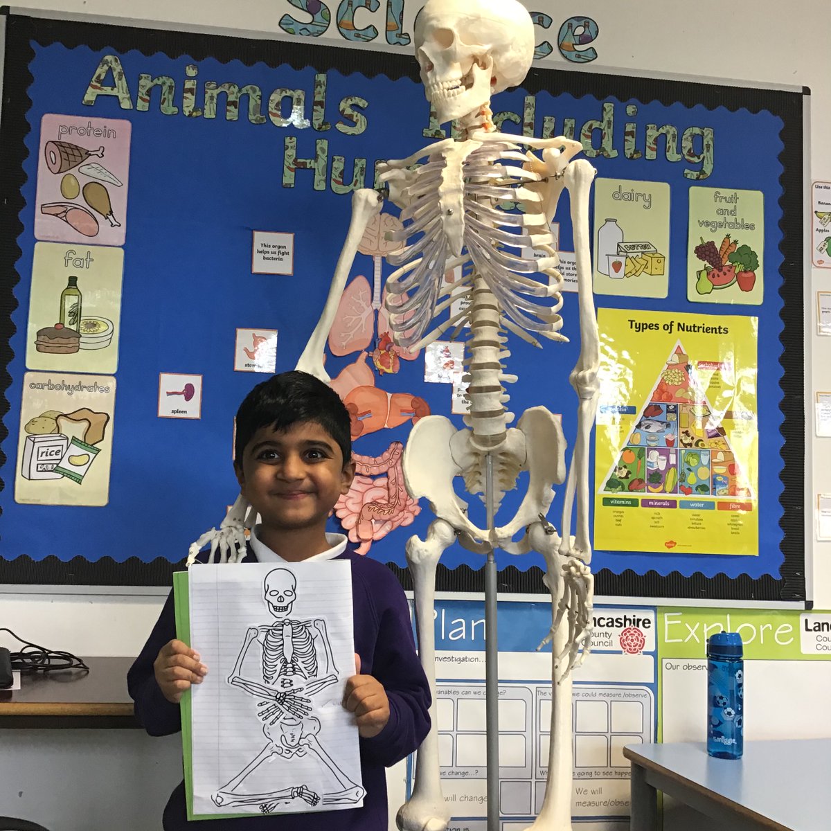 olive__preston's tweet photo. Thank you to Miss Patel for investing in buying a skeleton to help the Year 3s to understand and learn about the human bones! Year 3s have loved it! #Science #BuddingScientists #BuddingDoctors #MakingLearningComeAlive #RealResources #LoveForLearning #Inspired #Ambition #WeAreSTAR https://t.co/OOSUIThXYp