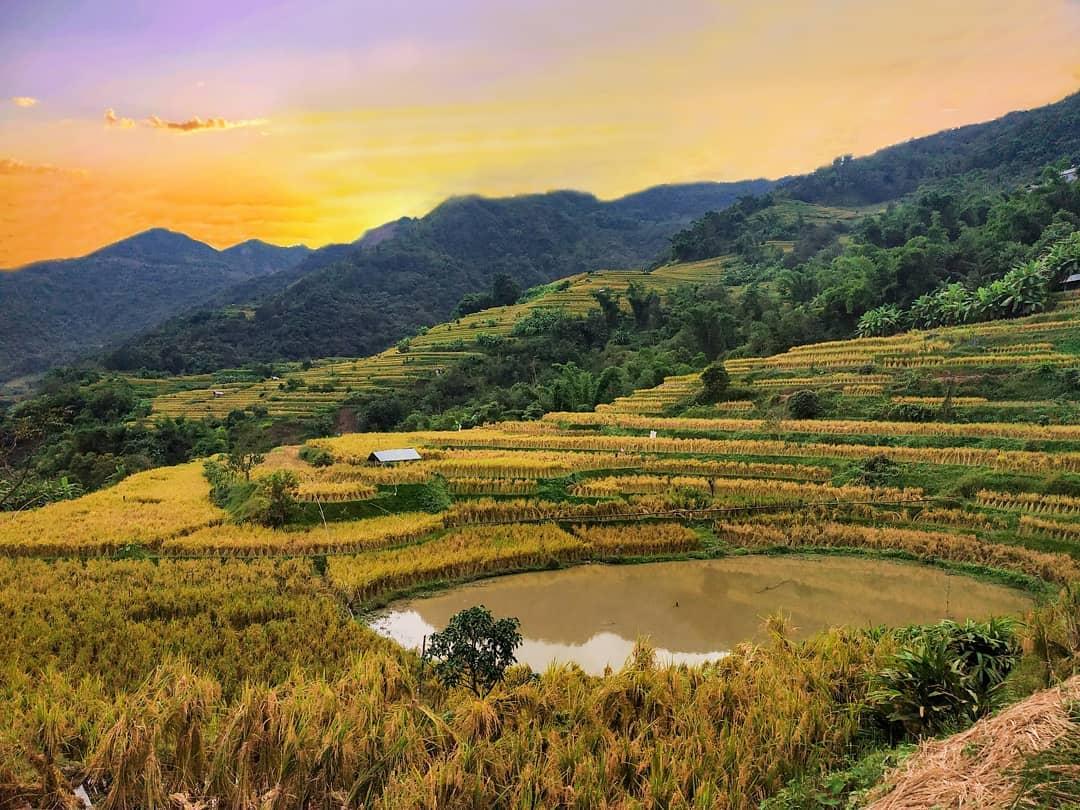 Terrace field of Nagaland.

Follow us for more!
 #life_in_the_northeast_india
Credit 📸 duvoruho