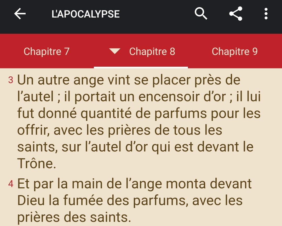 L'autel :" Puis il me fut donné un roseau, une sorte de règle, avec cette parole : « Lève-toi, mesure le sanctuaire de Dieu, l’autel et ceux qui s’y prosternent. " (Apocalypse 11 ; 1) #autel  #messe  #liturgie