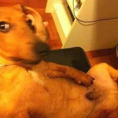 StarPrix tweet media