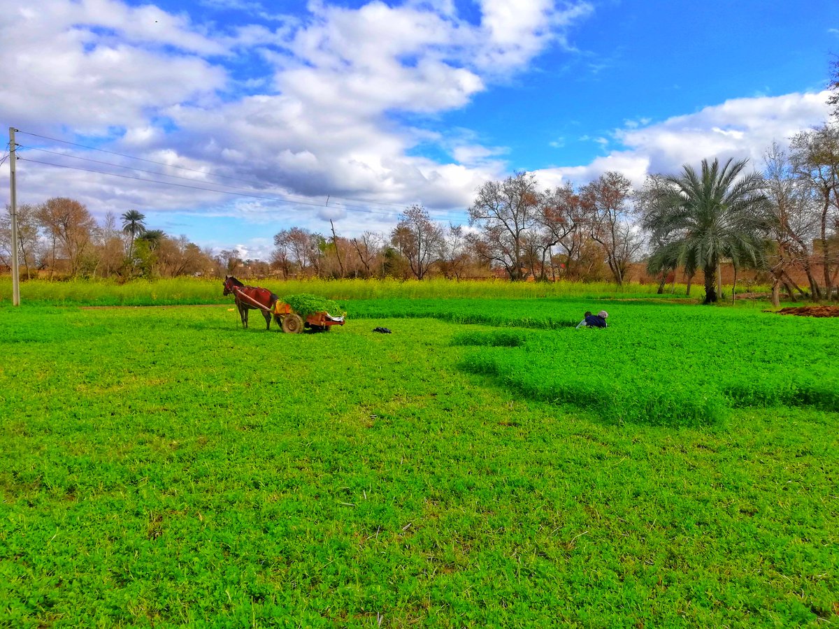 awesome8tech's tweet photo. #BeautifulPakistan
#bannu #bannpeople https://t.co/w506TtpyqM
