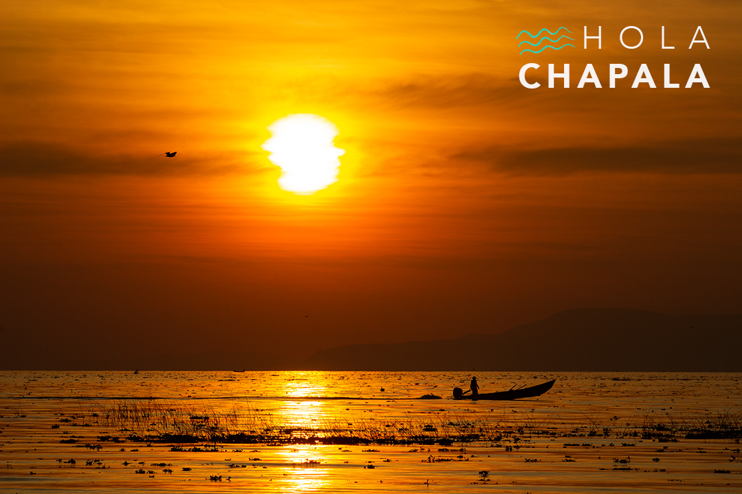 HolaChapala's tweet photo. #HolaChapala #Chapala #sunriseFishing #LagoDeChapala #ChapalaLake #Sillhouette #MexicanPostcard #RinconesDeMexico #Mexico https://t.co/Um003e1YGz