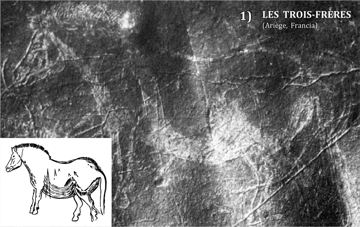 ¡Ahora es tu turno! Cada miembro del Labtec ha seleccionado su caballo favorito, ¿a cuál votas tú? También podéis dejarnos qué otros ejemplares son vuestros preferidos  