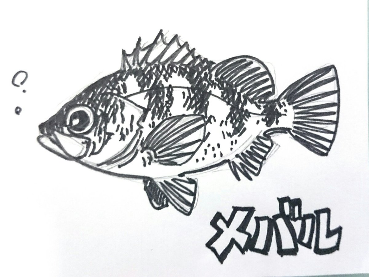 魚 イラスト かわいい 白黒 魚 イラスト かわいい 白黒 Pixlapansae