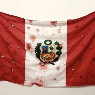 MariBarredaOF's tweet photo. Foto de una de las banderas usadas el 14/11/2020 publicadas por la prensa internacional https://t.co/hURhP0qwjg