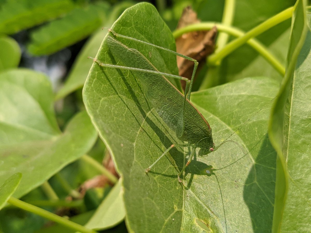 Nokia_Rohan's tweet photo. #shotonnokia 7.2
#****
@Nokia_Chetan @ANDYCOOL024 @hello_venke @im_nikhilkunwar @ThanoofNaina @NokiaMobile @NokiamobileIN @Chiraggohil39 @roy_nokia https://t.co/e2Qu6FXT8u