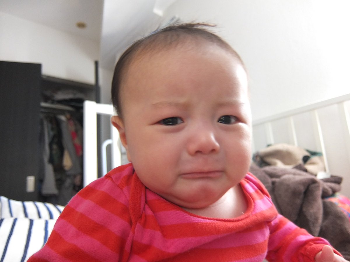 ドーン 生後2ヶ月半 リアルぴえん として順調すぎるほどに大きくなってます 超可愛い