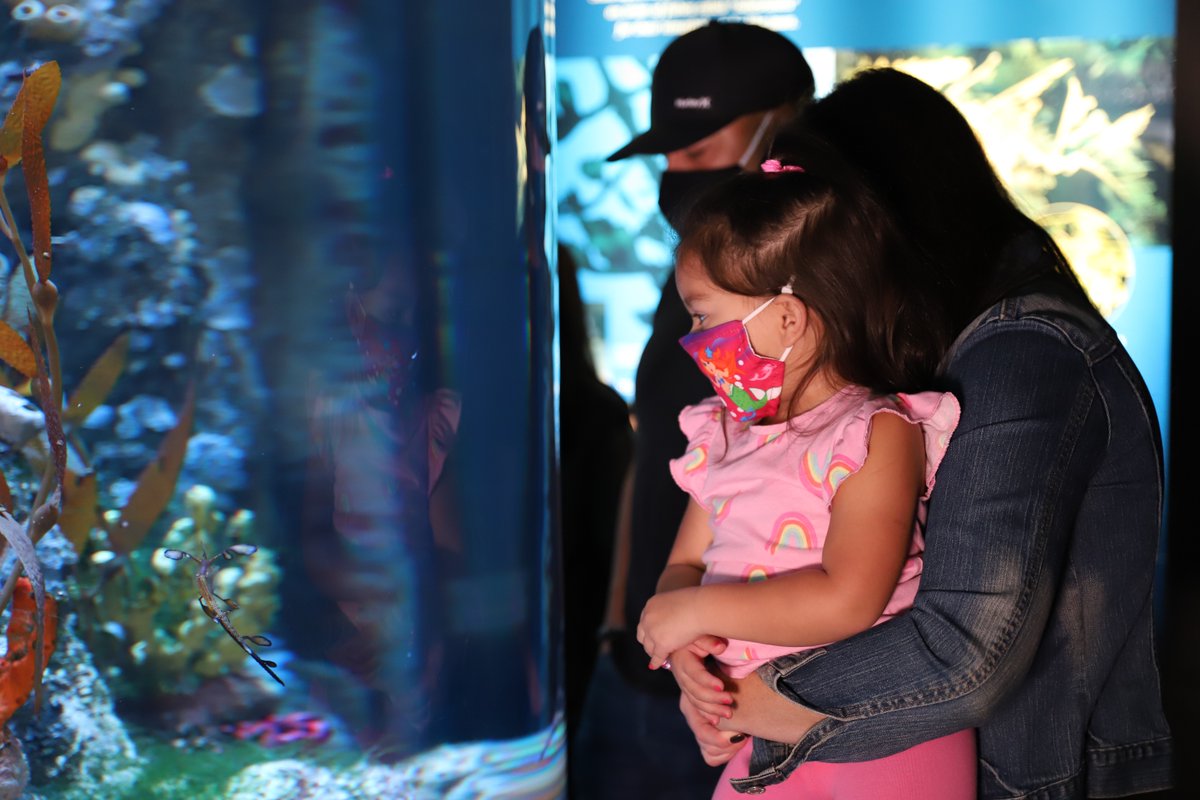 NEAQ's tweet photo. Looking for a family-friendly indoor activity this week? ๐
Book your timed-ticket to the Aquarium at https://t.co/oBAWyZkmUV!
#WeAreOpen #ReserveYourSpot #TimedTicketing #FamilyActivities https://t.co/KGayJWaQ3a