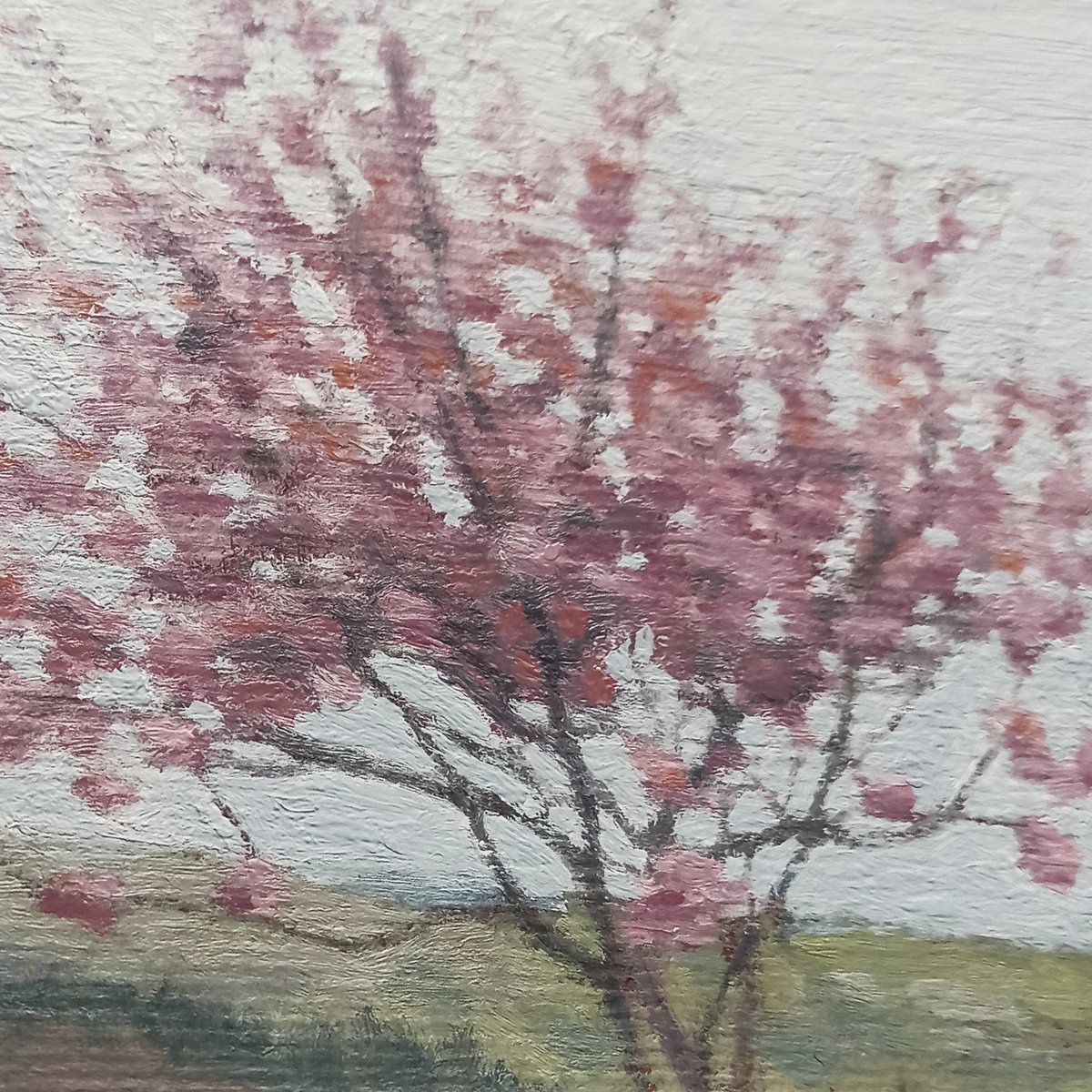 Lot 132 - 'Blossom Tree' by Kate Sherman ✨⁠
(Oil on Paper)

Bidding starts at just £50.⁠

Auction closes 19 November⁠
Hosted by <a href="/Dreweatts_1759/">Dreweatts 1759</a> 

BID NOW - bit.ly/3mJgxXP

Raising money for <a href="/HepatitisCTrust/">The Hepatitis C Trust</a> 

#ArtonaPostcard