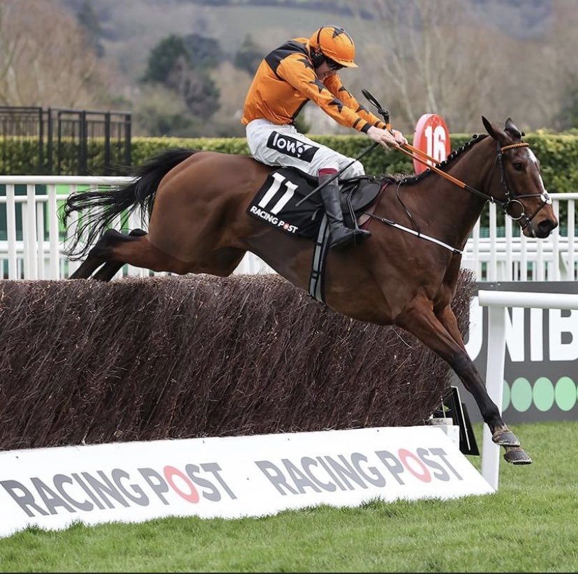 Unbelievably tough...Put The Kettle On wins <a href="/CheltenhamRaces/">CheltenhamRacecourse</a> <a href="/HRIRacing/">Horse Racing Ireland</a> <a href="/HRIOwners/">HRI Ownership</a> <a href="/Goffs1866/">Goffs</a> ☕️🥂☕️🥂☕️