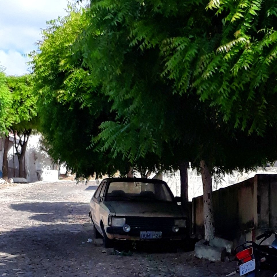 CarrosPodres's tweet photo. #Corcel2 #Abandonado #Orós https://t.co/i3uKiELZ8m https://t.co/wQ10DeMMe6