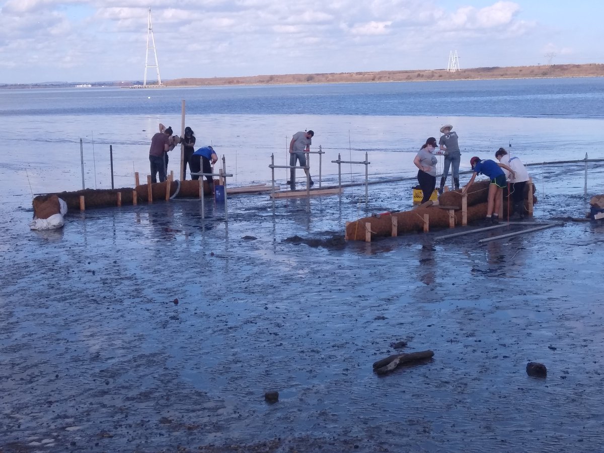CoastalUD's tweet photo. What a team effort last week for the SeaGrant project on ship wakes and living shoreline implements. https://t.co/9HuTRcY4Bf