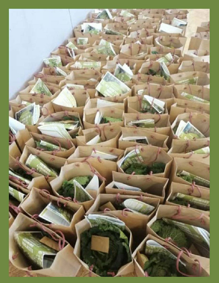 TakingRoot3's tweet photo. Food grown + gleaned by #TakingRootMember's is distributed to our #communities.  It's all in our latest annual report. #communitygardens #gleaning, #growing, #sharing #workingtogether to make #Bootle + #sefton #greener +#healthier https://t.co/MPfbdHWBJS https://t.co/Kbz83Z9gGJ https://t.co/rA9ioNR9e7