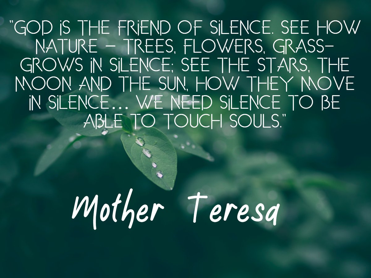 #SundayVibes #SundayMorning

"God is the friend of silence. See how nature – trees, flowers, grass- grows in silence; see the stars, the moon and the sun, how they move in silence… We need silence to be able to touch souls. "

- Mother Teresa