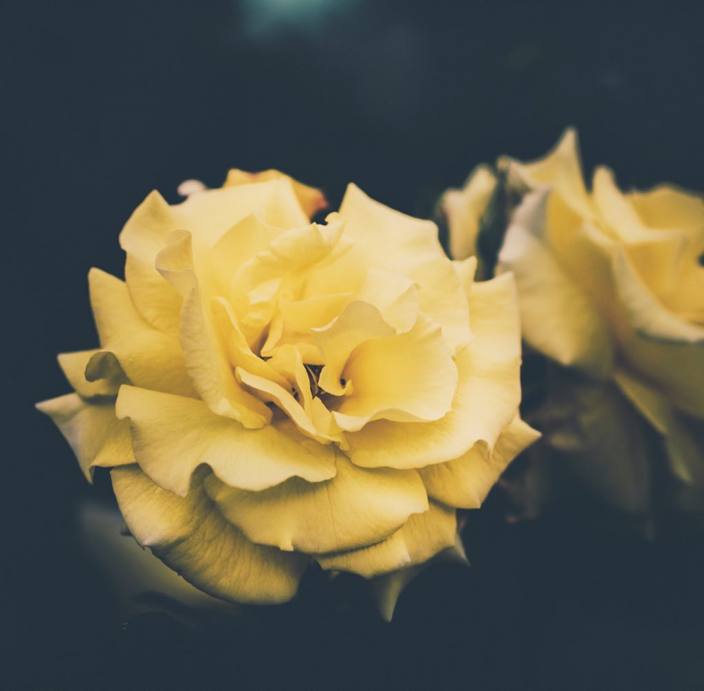 sublime_0921's tweet photo. #CHEN #첸 #종대 https://t.co/n7iAs3DEql