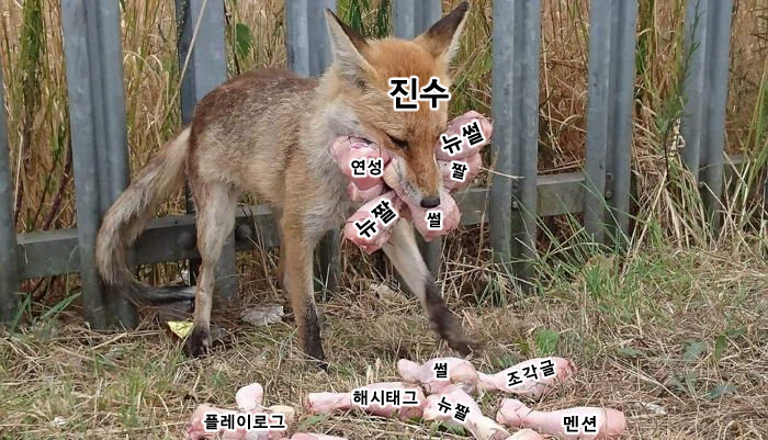 반쯤 포기하고 이런거나 만들고있음