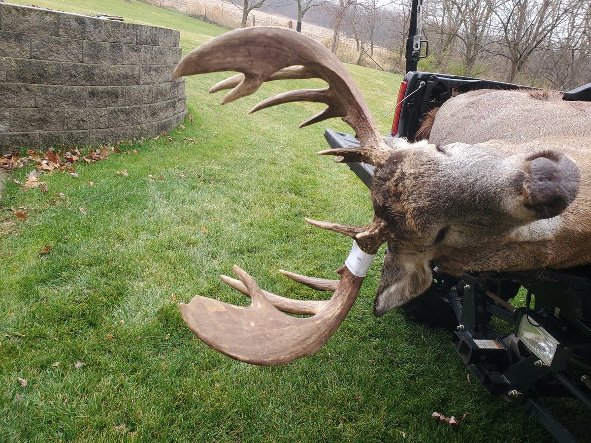 fluhrj5's tweet photo. 2020 archery buck https://t.co/hWacg19JKj