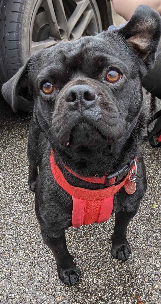 louise mcwilliams tweet media