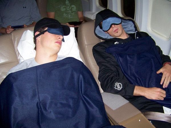 day 98 of nhlers as baby animals: sid +  sleepy time 