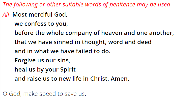 I remind you that we sin, not just in what we do, but in what we fail to do. In failing to love others as ourselves. In failing to treat all strangers as we would treat Christ. In failing to remake the world in the image of the Kingdom on Earth, filled with justice and love.