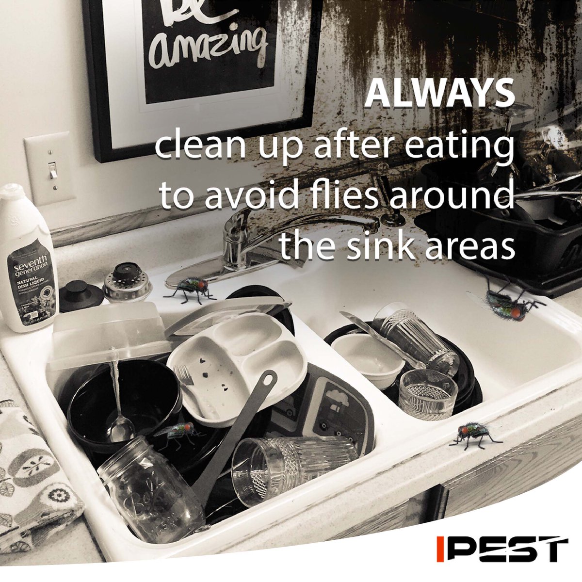IpestM's tweet photo. Would you gather have a pest-free home or would an infested one? That is why you should cultivate the habit of washing your dishes right after every meal. 

#ipest #pest  #cockroaches #invasion #ants #flies #smell https://t.co/wULIsB3KX7